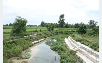 जैविक विविधतासहितको सिमसार सोती अतिक्रमणको चपेटामा