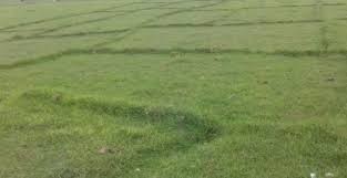 भूमिहीन नागरिकको जग्गा व्यवस्थापनका लागि नापनक्सा