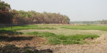जलवायु परिवर्तनका दुष्प्रभावः सुक्दै शुक्लाफाँटा निकुञ्जका ताल