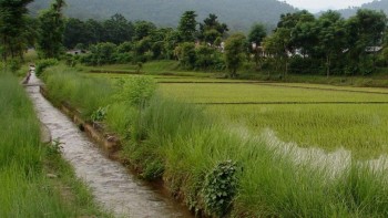 सिँचाइ कुला बनेसगै आकाशे पानीको भर पर्नुपर्ने बाध्यताको अन्त्य