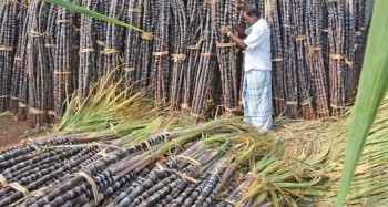 जुम्लामा चाडपर्व लक्षित गरी ५० क्विन्टल चिनी ल्याउँदै