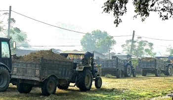अवैध नदी दोहन गर्ने ७० सवारी कारबाहीमा