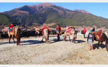 चिसो याममा पनि ढोरपाटनमा पर्यटकको चहलपहल