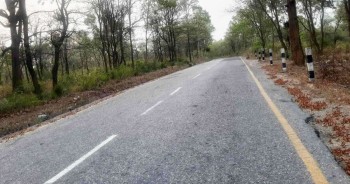 पूर्व–पश्चिम राजमार्ग विस्तार गर्न ६ हजार रुख काटिने