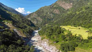 माथिल्लो अरुण आयोजनालाई दुई हजार भन्दा बढी रुख काटियो