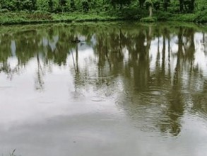 मानव–वन्यजन्तु द्वन्द्व रोक्न वनमा पानीको प्रबन्ध