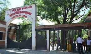 चिडियाखानामा सन्ध्याकालीन सेवा सुरु भएपछि बढे पर्यटक