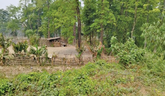 पर्यटकीय क्षेत्र नरसिंहकोट जोड्न पदमार्ग निर्माण