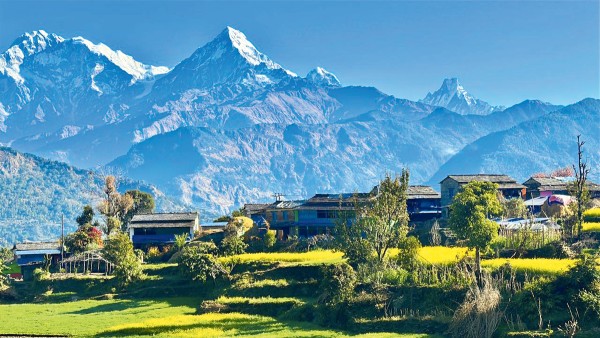 बेनीको तोरीपानीमा सयपत्री ‘होमस्टे’ सञ्चालन