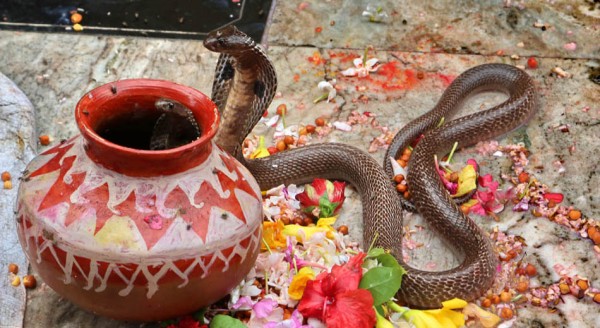 आज नागपञ्चमी पर्व मनाइँदै