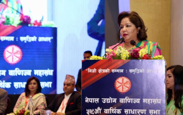 सरकारले देशको समग्र आर्थिक विकास र समृद्धिका लागि काम गरिरहेको छ : परराष्ट्रमन्त्री राणा