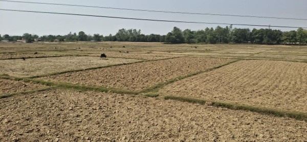 वर्षा नहुँदा रौतहटका खेत बाँझै