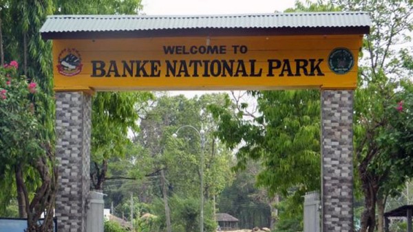 बाँके राष्ट्रिय निकुञ्जमा जङ्गल सफारी सुरु