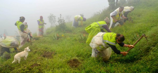 अतिक्रमित वन क्षेत्र खाली गराई वृक्षारोपण