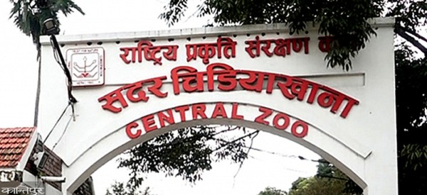 सदर चिडियाखानाको जनावर ‘रेस्क्यु’ टोली नेपालभर सक्रिय