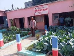 किसानलाई व्यावसायिक तरकारीखेती गर्ने तरिका सिकाउन कार्यालय परिसरमै बारी