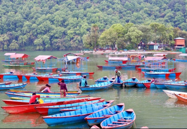 आजदेखि फेवा महोत्सव, होटलमा पाहुनालाई २० प्रतिशतसम्म छुट