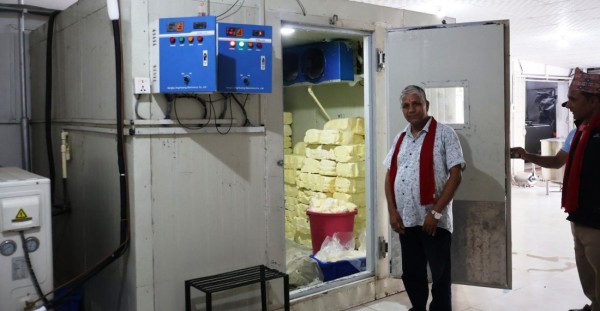 बागलुङमा घ्यू भण्डारण गर्न ‘कोल्ड स्टोर’ सञ्चालन