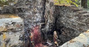 जहाँ देवीलाई चढाइन्छ दाम्लो