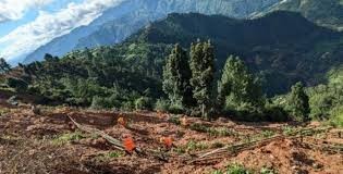 पहिरो रोकथाम गर्न ‘बायो इञ्जिनियरिङ’ प्रविधि