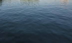 बरण्डाभार क्षेत्रको तालतलैया व्यवस्थापन गर्दै वन कार्यालय