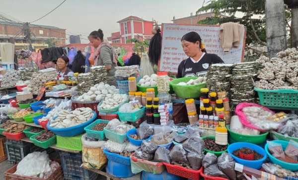 पहाडबाट झरेर तराईमा जडीबुटी व्यवसाय