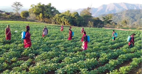वर्षा भएसगै किसान उत्साहित