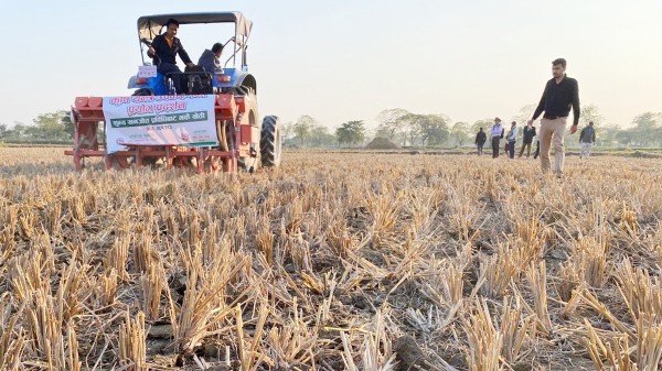 झापाका तीन स्थानमा शून्य खनजोत प्रविधिबाट मकैखेती