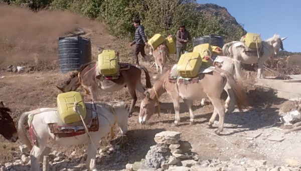 खच्चडलाई पानी बोकाएर खानेपानी ट्याङ्की निर्माण गरिँदै