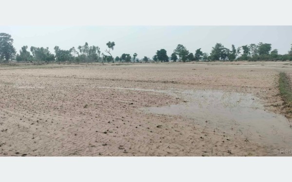 बाढीले खेतमा थुपारेको गेगर पन्छाउन सहयोग गर्दै हलेसी नगरपालिका