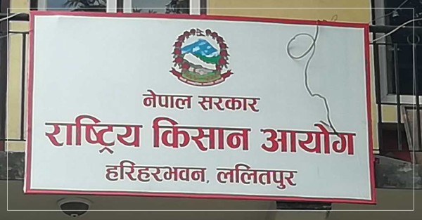 किसान आयोगप्रति किसानको गुनासै-गुनासो