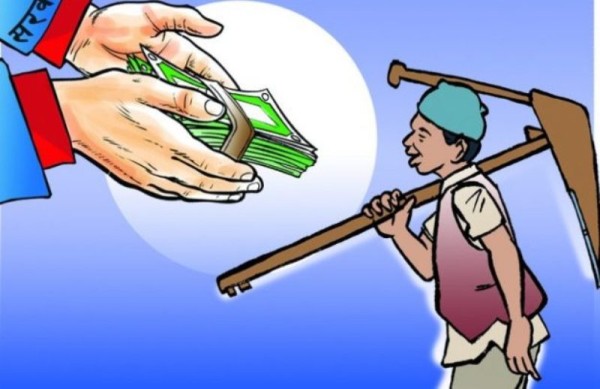 उत्पादकत्व बढाउन किसानलाई नगद अनुदान दिदै धार्चे गाउँपालिका
