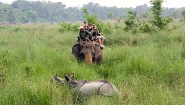 प्रचारप्रसारको अभावमा कोशी टप्पुमा विदेशी पर्यटक न्यून