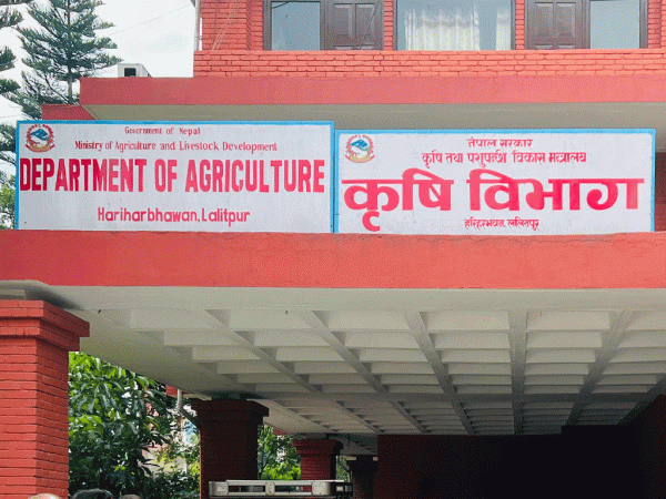 बीउ उत्पादन कार्यक्रम ५८ स्थानीय तहमा सञ्चालन
