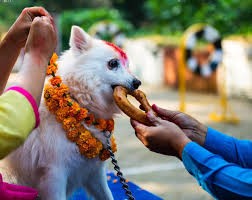 आज कुकुर तिहार मनाउँदै