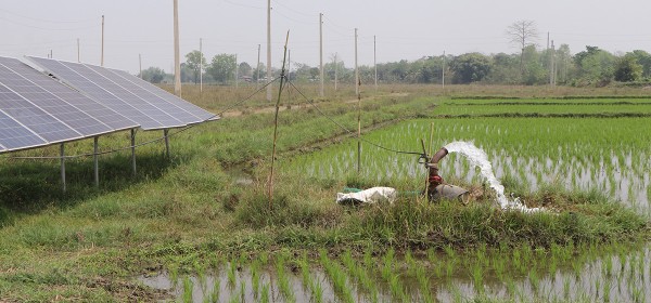 सिँचाइले सुक्खा जमिन हराभरा बन्दै