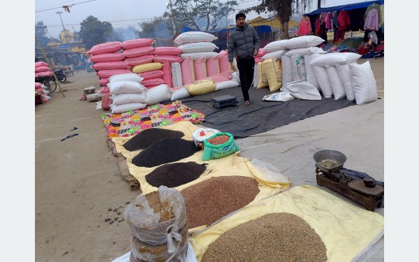 मिथिलाञ्चलमा माघे सङ्क्रान्तिको भव्य तयारी गरिँदै