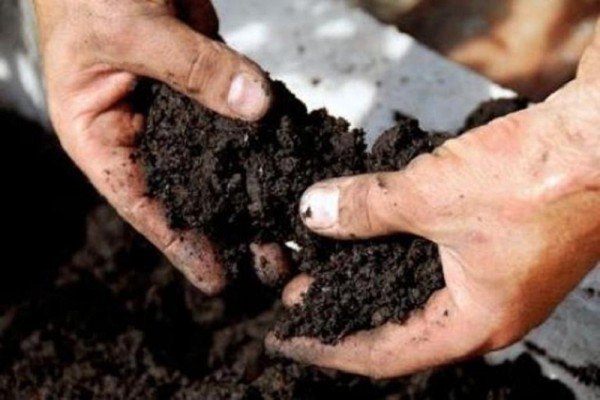 पातपतिङ्गरबाट प्राङ्गारिक मल