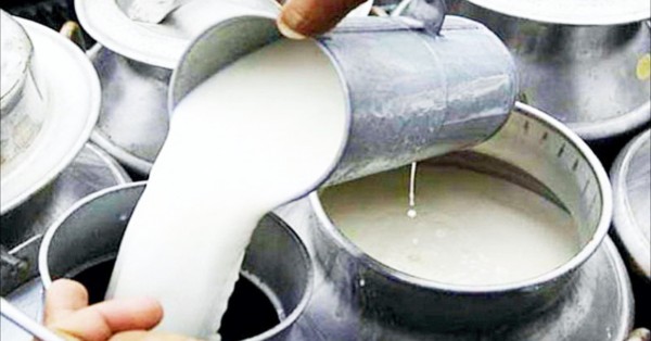 दूध बेचेर मासिक दुई लाख आम्दानी गर्दै किसान