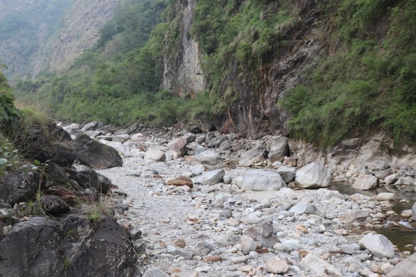 मिस्त्री खोलामा माछा पाइन छाडे