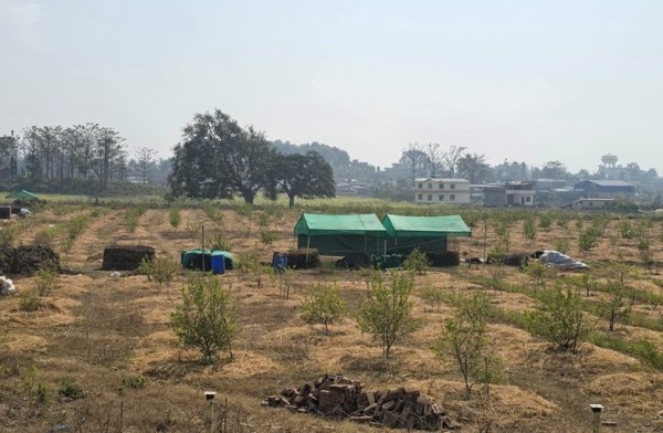 व्यावसायिक कागतीखेतीमा रमाएका  प्रतीक