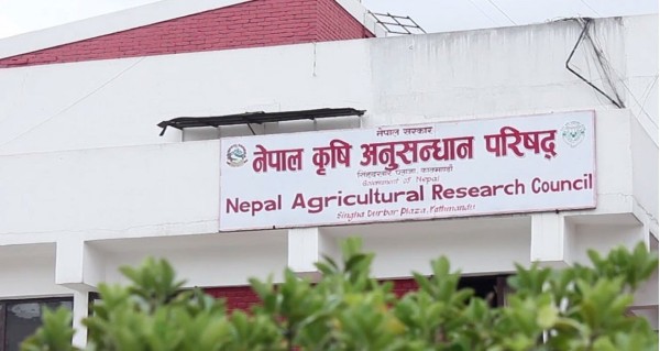 स्वीकृत दरबन्दीको आधामा सञ्चालन हुँदै नार्क