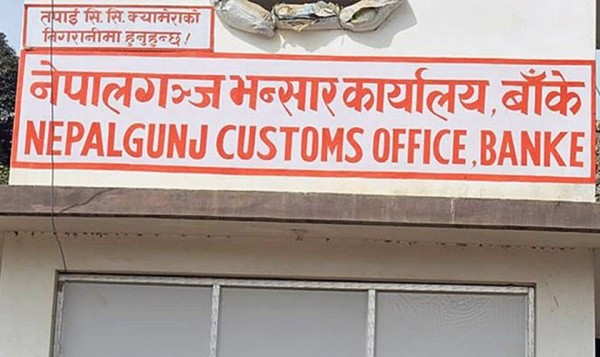 २५ करोड पर्ने १२ टन सल्लाको आँख्ला निकासी नहुँदा समस्या