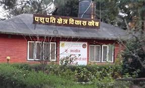 गृहमन्त्रीले छाला जुत्ता लगाएर पशुपतिनाथ मन्दिरभित्र प्रवेश गर्नुभएको होइन : पशुपति क्षेत्र विकास कोष