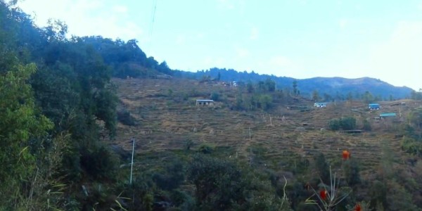 भोजपुरको टेम्केमैयुङमा केन्द्रीय विद्युत् विस्तार