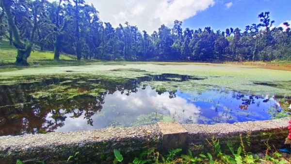 रुद्रतालको संरक्षणमा जुट्यो ढोरपाटन