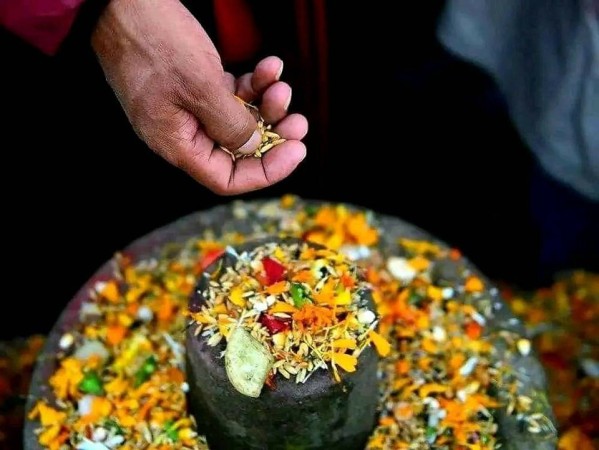 क्यानडाका नेपाली समुदायले शतबीज छरेर बाला चतुर्दशी मनाए