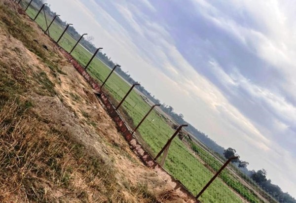 जङ्गली जनावरको आतङ्क रोक्न तारजाली जडान गरिदै