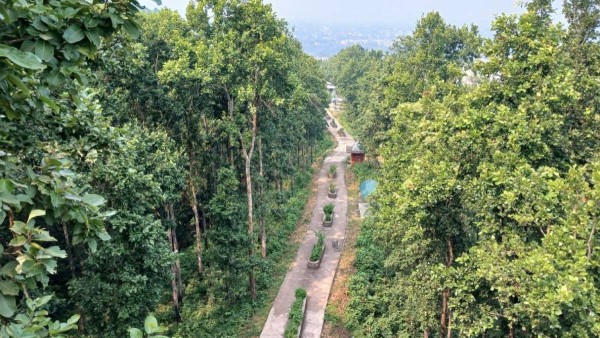 लौरेपालो गरेर हुर्काइएको ‘राम्चेवन’ पर्यटकीय गन्तव्य बन्दै
