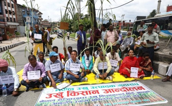 दसैँ आयो, उखुको पैसा नआउदा किसान मारमा
